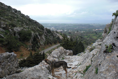 Paleo Pyli Insel Kos